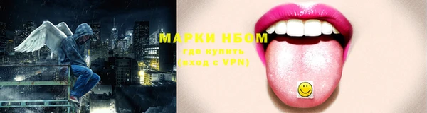 СК Абинск