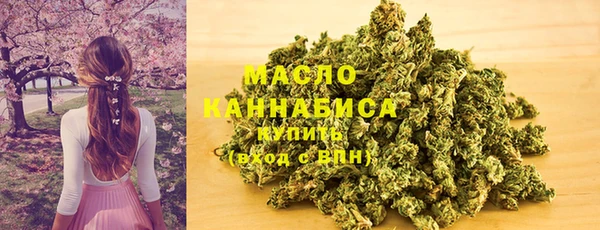 индика Абдулино